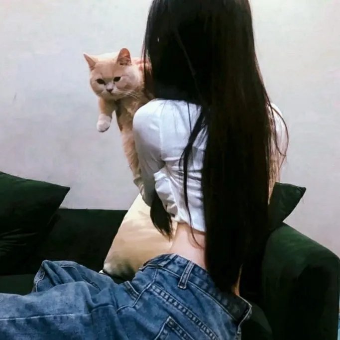 虎猛警师3
